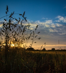COMPLET - Animation nature sur les ENS : osez la nature au cr&eacute;puscule !