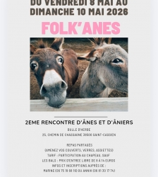 Folk'&acirc;nes : Rencontre festive autour des &acirc;nes