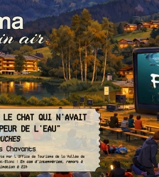 Cin&eacute; plein air &laquo; Flow, le chat qui n&rsquo;avait plus peur de l&rsquo;eau &raquo;