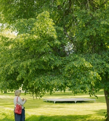 Atelier - dialogue avec l'arbre