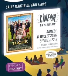 Cinéma en plein air - God save the Tuche