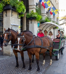 La Tour du Pin en cal&egrave;che