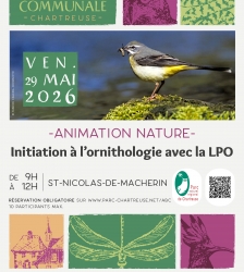 Initiation &agrave; l'ornithologie avec la LPO