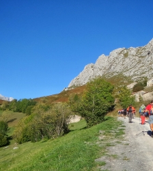 Balade guid&eacute;e : Les plantes en Chartreuse