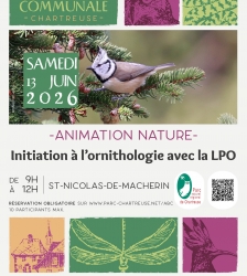 Initiation &agrave; l'ornithologie avec la LPO