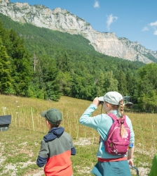 Sortie LPO - Observation des oiseaux
