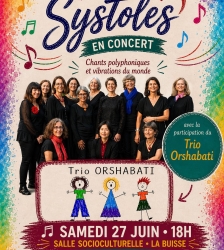 Concert :  Le Trio Orshabati & Les Systoles
