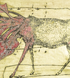 Conf&eacute;rence d'histoire de l'art "La carte et le territoire" anim&eacute;e par Fabrice Nesta