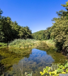 Eveil à la nature pour les tout-petits (3-6ans)