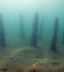 Conf&eacute;rence : "Arch&eacute;ologie subaquatique des lacs alpins : les palafittes n&eacute;olithiques en question"