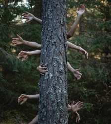 Sappey'tille - Atelier danse et nature