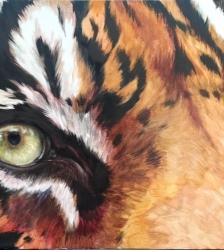Exposition "Regard Nature"