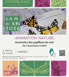 Inventaire des papillons de nuit