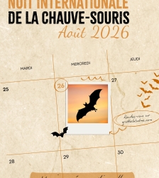 30e &eacute;dition - Nuit internationale de la chauve-souris aux Grottes de La Balme