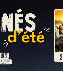 Cin&eacute; d'&eacute;t&eacute;