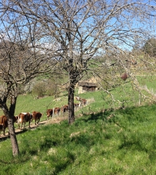 Visite et go&ucirc;ter &agrave; la Ferme de la Grangette