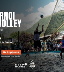 Tournoi de Volley Surgeteam Fan Club