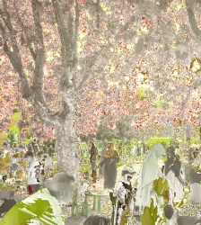F&ecirc;te du quartier Beauvert