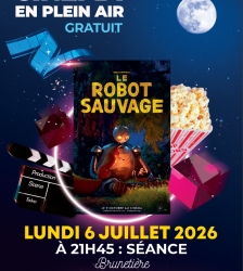 Cin&eacute;ma en plein air : le robot sauvage