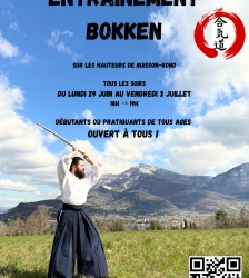 Entrainement au Bokken