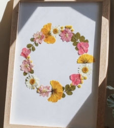 Herbier po&eacute;tique des montagnes