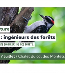 Sortie nature - Les pics, ing&eacute;nieurs des for&ecirc;ts