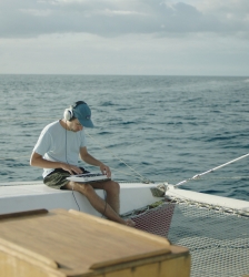 Cin&eacute;ma : La Baleine et le Musicien