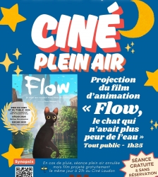 Cin&eacute; plein air : "Flow"