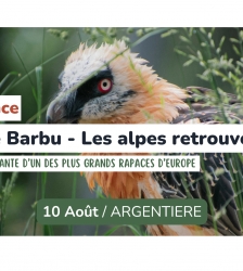 Conférence - Gypaète Barbu, les Alpes retrouvées