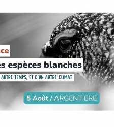 Conf&eacute;rence - L'&acirc;ge des esp&egrave;ces blanches