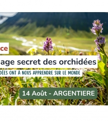 Conf&eacute;rence - Le langage secret des orchid&eacute;es