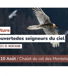Sortie nature - A la découverte des seigneurs du ciel