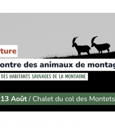 Sortie nature - A la rencontre des animaux de montagne