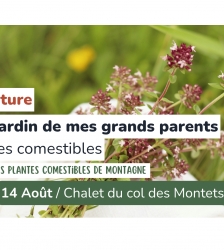 Sortie nature - Dans le jardin de mes grands parents les plantes comestibles
