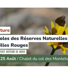 Sortie nature - Les bestioles des r&eacute;serves naturelles des Aiguilles Rouges