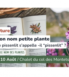 Sortie nature - Dit moi ton nom petite plante