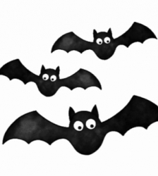 Animation : A la rencontre des chauves-souris