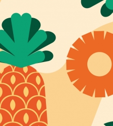 Animations Piraterie