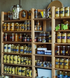 Atelier : A la d&eacute;couverte du monde des abeilles &agrave; la ferme Champ Chabert