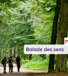 Balade des sens