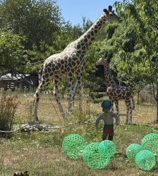 Ferme aux mille lumi&egrave;res