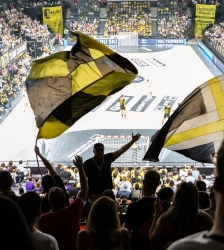 Comp&eacute;tition : Chamb&eacute;ry Savoie Mont Blanc Handball vs Paris