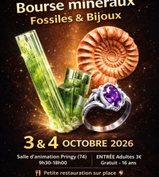 Bourse min&eacute;ralogique avec fossiles et bijoux