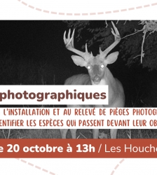 Sortie nature - Pi&egrave;ges photographiques