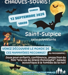 La nuit des chauves-souris