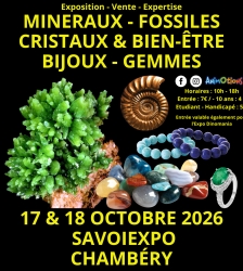 7&egrave;me Salon Min&eacute;raux Fossiles Cristaux & Bien-&Ecirc;tre Bijoux et Gemmes  + Exposition Dinomania