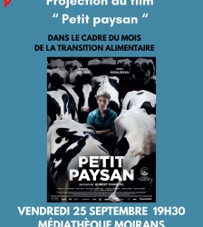 Projection : Petit paysan
