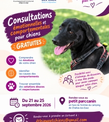 Bilan &eacute;motionnel et comportemental de votre chien - gratuit