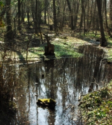 Balade ludique dans la tourbi&egrave;re des Chassettes