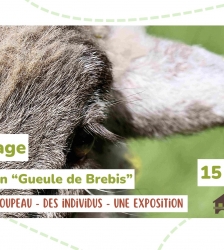 Vernissage exposition Gueule de Brebis